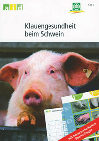 Klauengesundheit beim Schwein