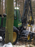 Laubholz und Harvester