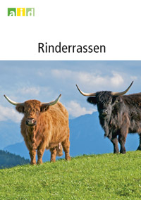 Rinderrassen