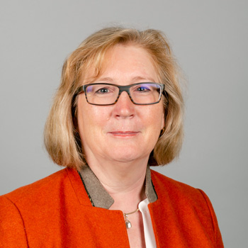 Neuer Weinjahrgang, neue Hoffnung