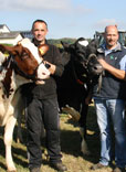 Beste Holsteins vorgestellt
