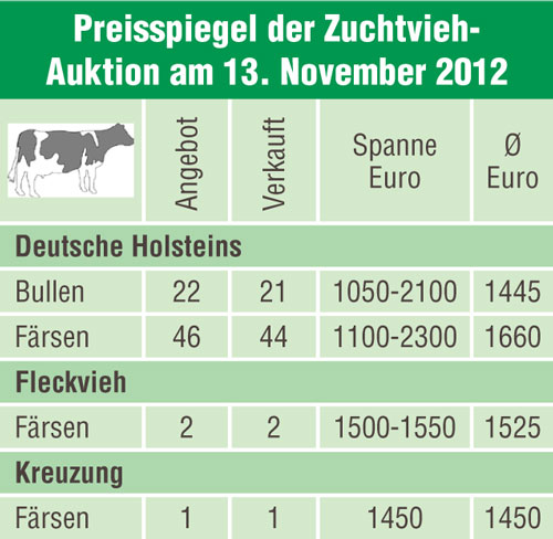 Zuchtviehauktion Alsfeld: Preisniveau gut bis sehr gut