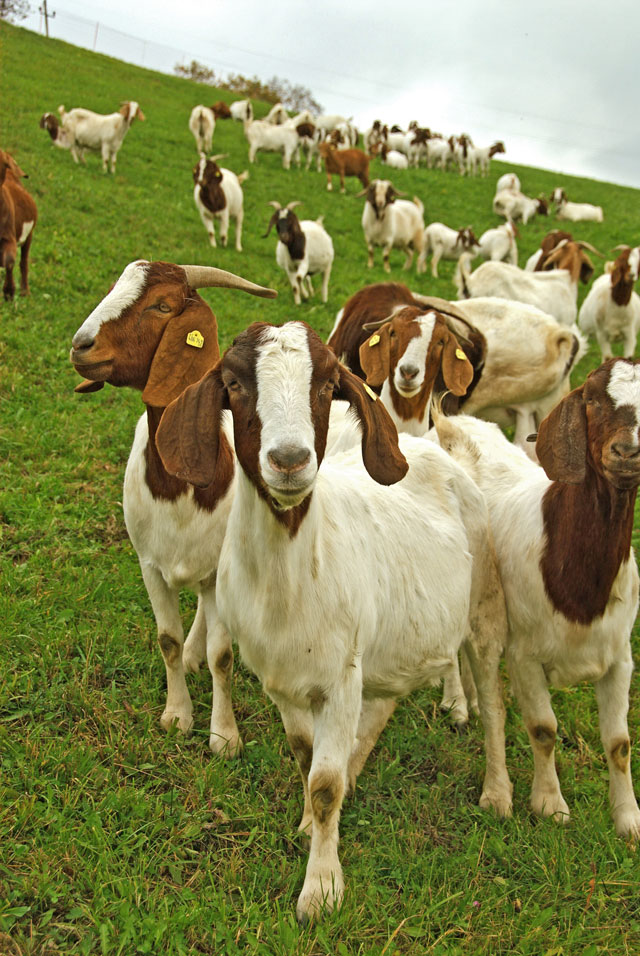 Verdachtsfälle Heute