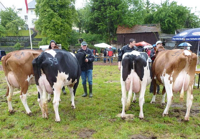 In Lauterbach vorgestellt