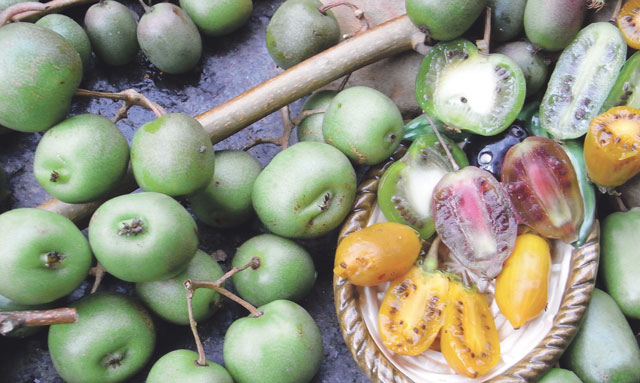 lwheute.de Exotische Früchte aus dem Garten Exotische Früchte aus