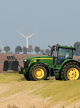In den mittleren Lagen steht die Ernte bevor