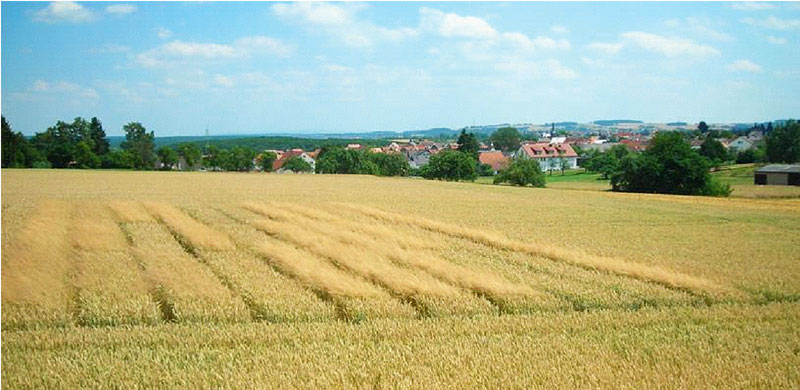 Liederbacher Ackerbautag