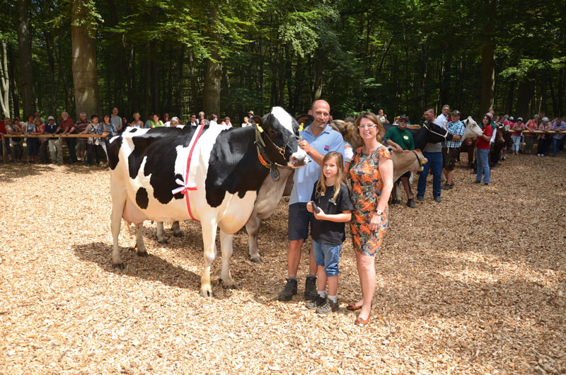 Tierschau zum Ochsenfest
