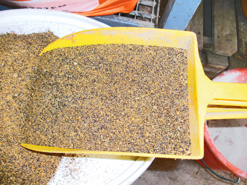 lwheute.de Rapsextraktionsschrot in der Jungebermast einsetzen