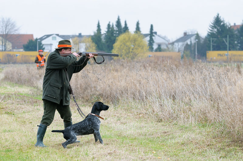 Hunde bei der Jagd absichern