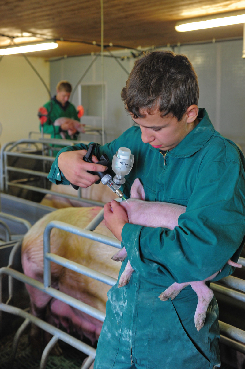 Antibiotikadatenbank: Wie die Behandlungstage angeben?