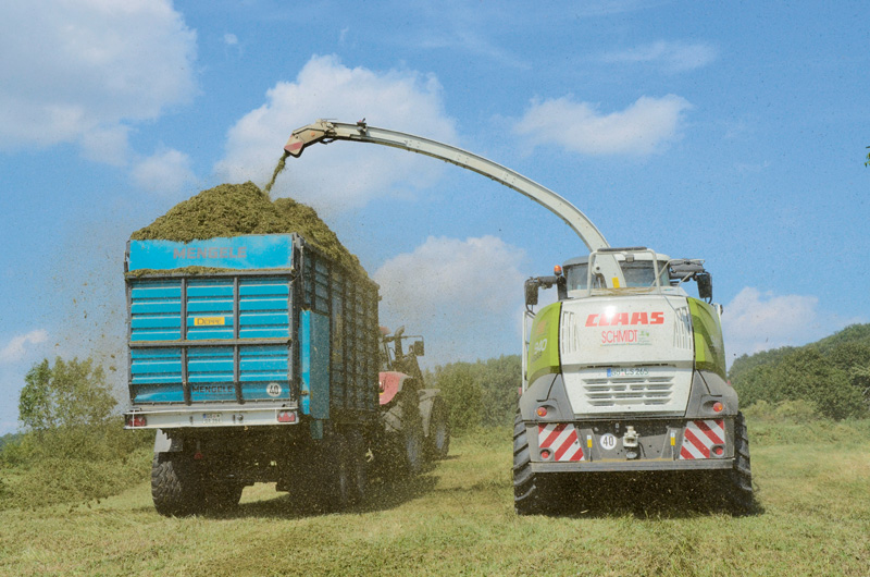 Luzernesilage: Potenzial für die Öko-Geflügel- und Schweinefütterung