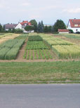 Viele Fachinfos aus Liederbach