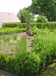 (Fast) kein Garten ohne Hecke
