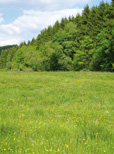 Futterflächen sind nur ein Teil des gesamten Grünlandes