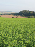 Eine praktikable Greening-Lösung