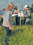 Landwirte würden mehr Winterbraugerste anbauen