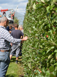 Mechanisierungsschub im Obstbau – Löhne sparen