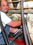 Landwirtschaftliche Einkommen abgestürzt
