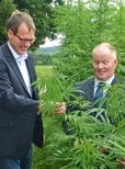 Erträge und Qualitäten lassen zu wünschen übrig