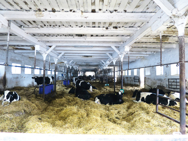 lw-heute.de – Die zwei Seiten der Landwirtschaft in Polen | Die zwei