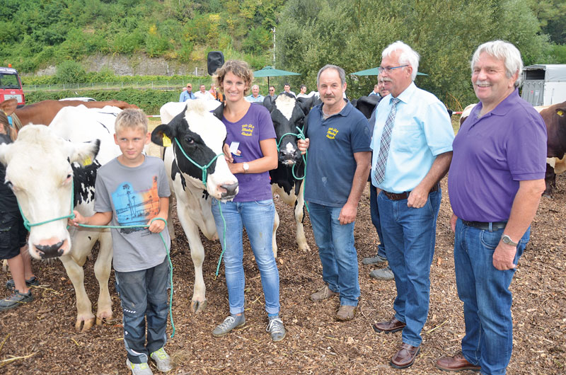 Fast ein Dutzend Rinderrassen auf den Lahnwiesen vorgestellt