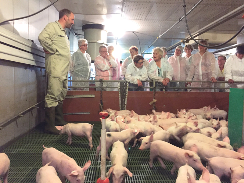 Landfrauen informierten sich über Schweinehaltung