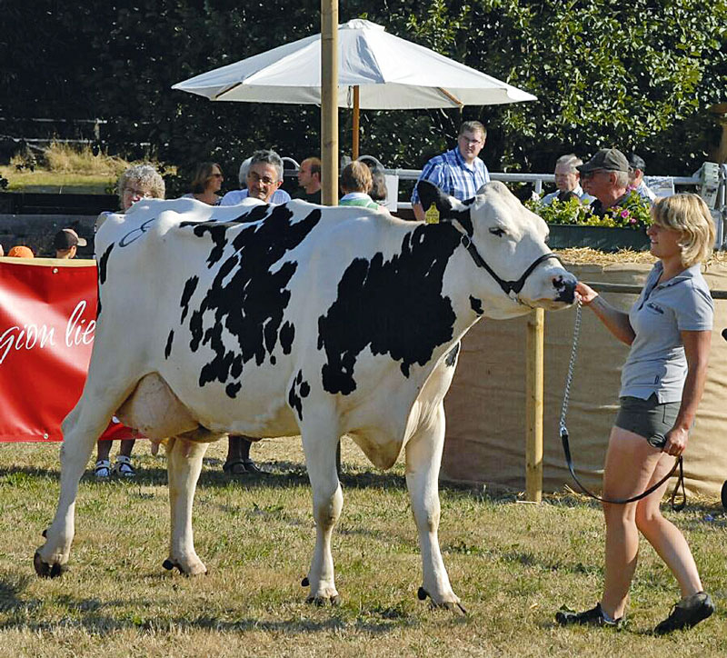 Mit der „Golden Girl“  erfolgreich im Taunus