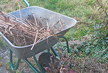 Frühjahrsputz im Garten