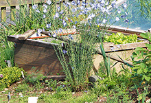 Anbau für einen Gemüsegarten planen