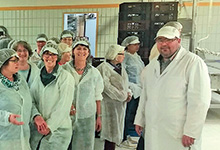 Der Weg vom Getreide bis zum Brot