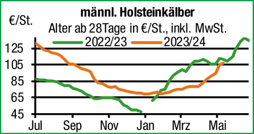 Blick in den Markt Grafik 1
