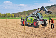 Neue Demonstrationsfläche schnellwachsender Baumarten