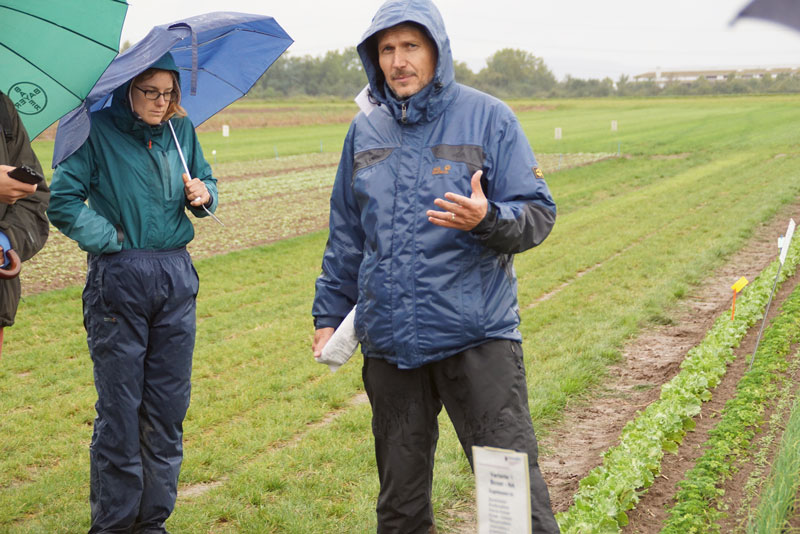 Die Verträglichkeit der Herbizide beachten