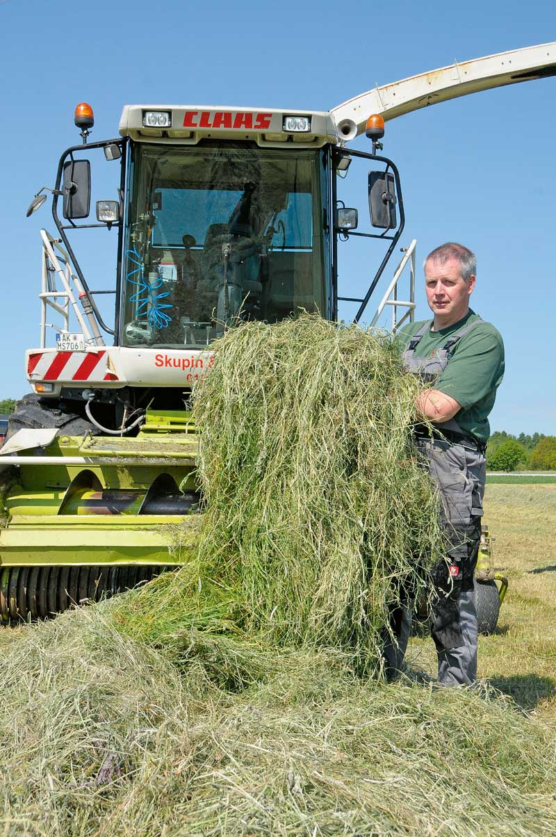 Hohe Restzuckergehalte in den hessischen Grassilagen