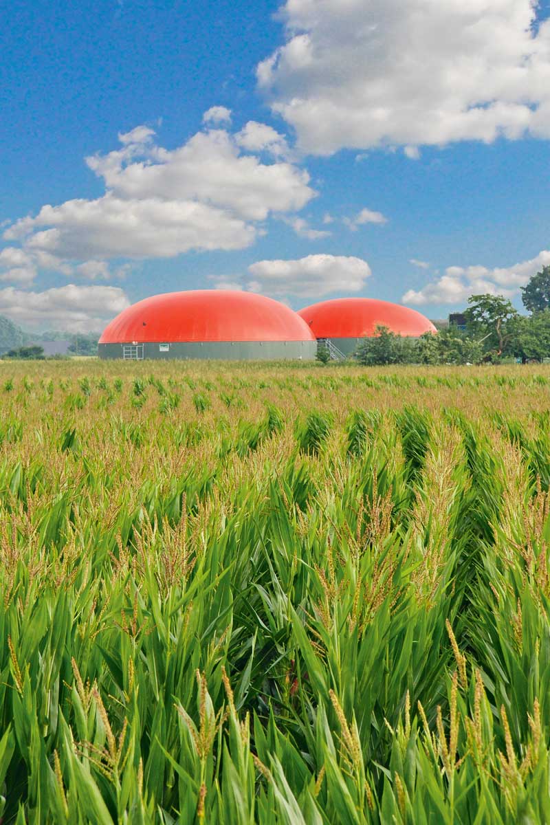 lw-heute.de – Landwirtschaftliche Flächen: Nachweise zum Status sichern