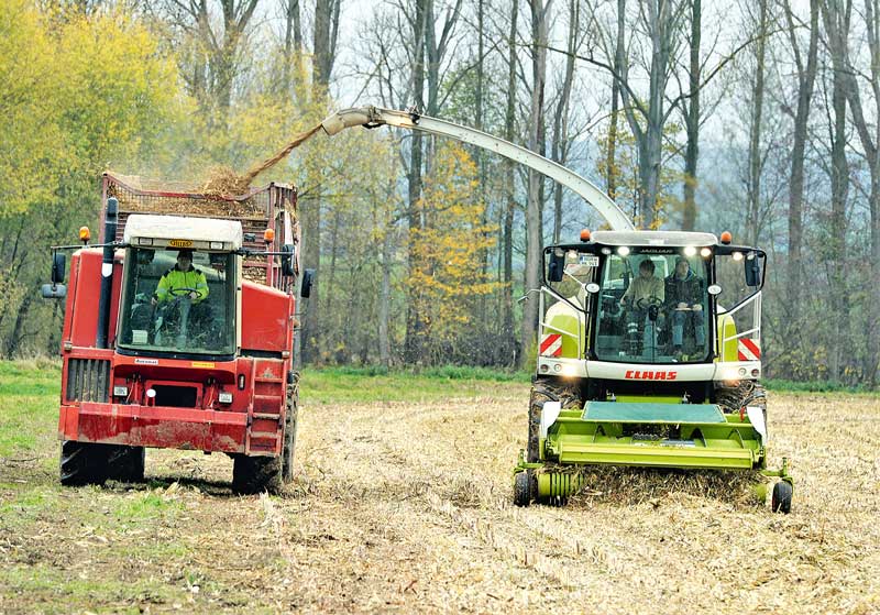 Körnermaisstroh für die Biogasanlage