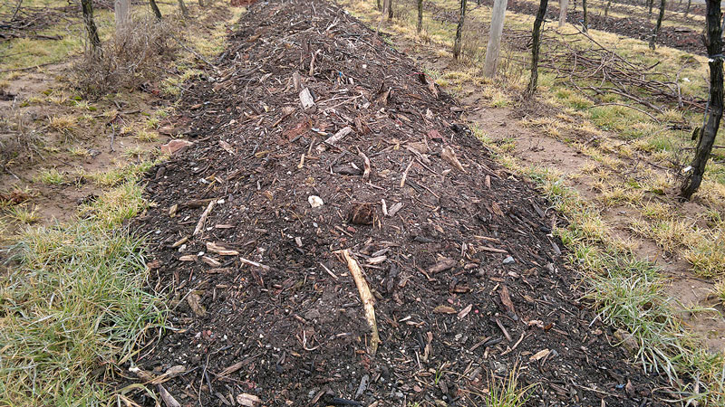 Düngeverordnung – Auswirkungen auf den Weinbau