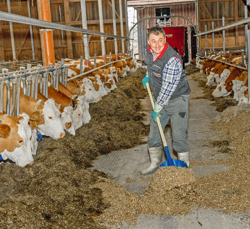 Arbeitsorganisation stetig verbessern
