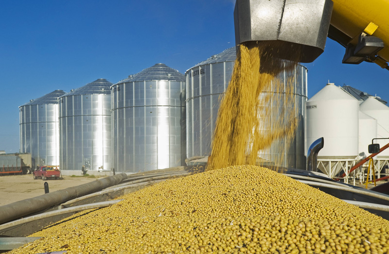 lw-heute.de – Landwirtschaft gerät in den Handelsstreit mit den USA