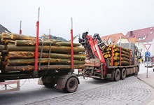 Neustrukturierung der Holzvermarktung im Gange