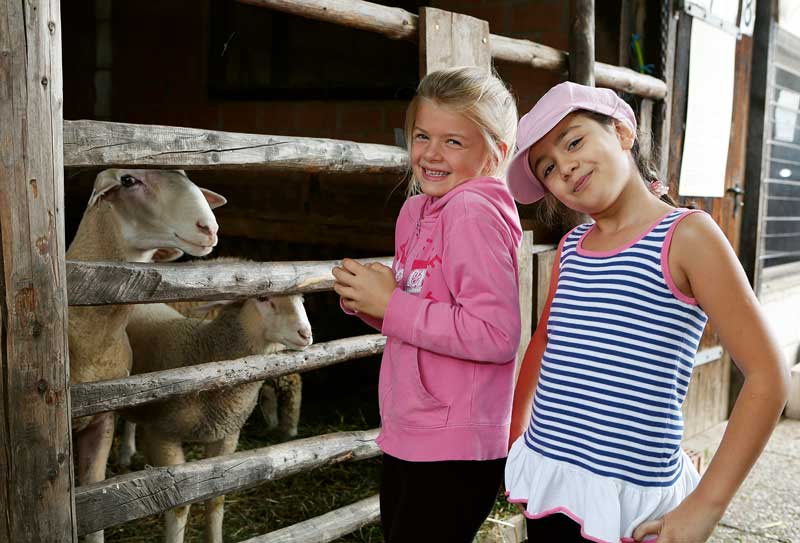lw-heute.de – Landwirtschaft bewusst erleben | Landwirtschaft bewusst