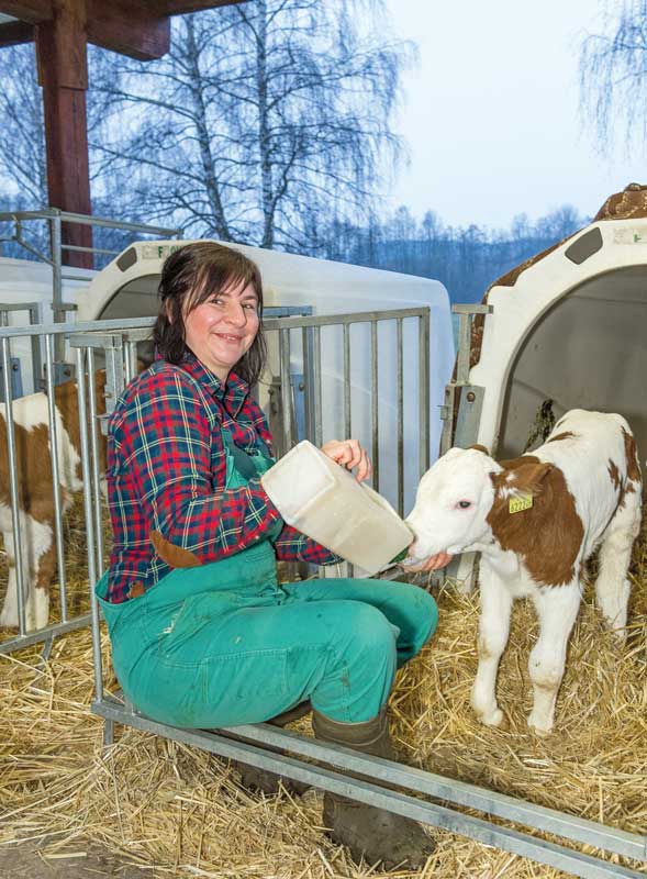 Bei der Kolostrumversorgung keine Zeit verlieren