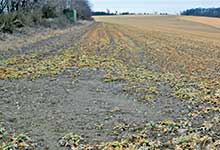 Die Trockenheit setzt sich weiter fort