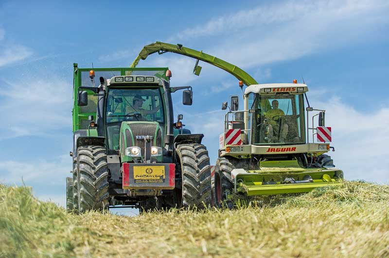 Grassilage in diesem Jahr kann sich sehen lassen