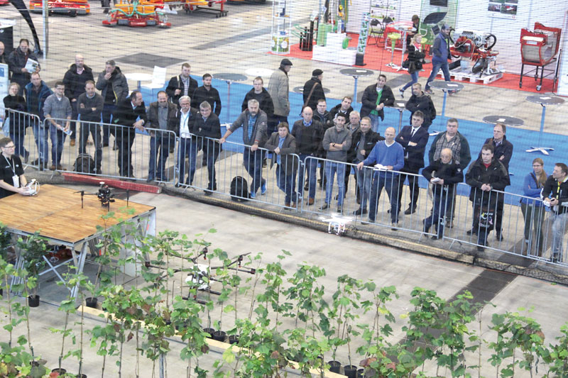 Deutscher Weinbauverband lädt zur Intervitis ein