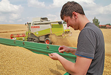 Getreide: Trockenheit sorgte für niedrige Rohproteingehalte