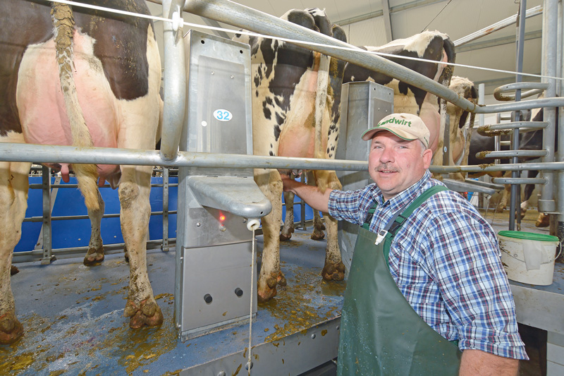 Höhere Milchleistung trotz Dürrejahr