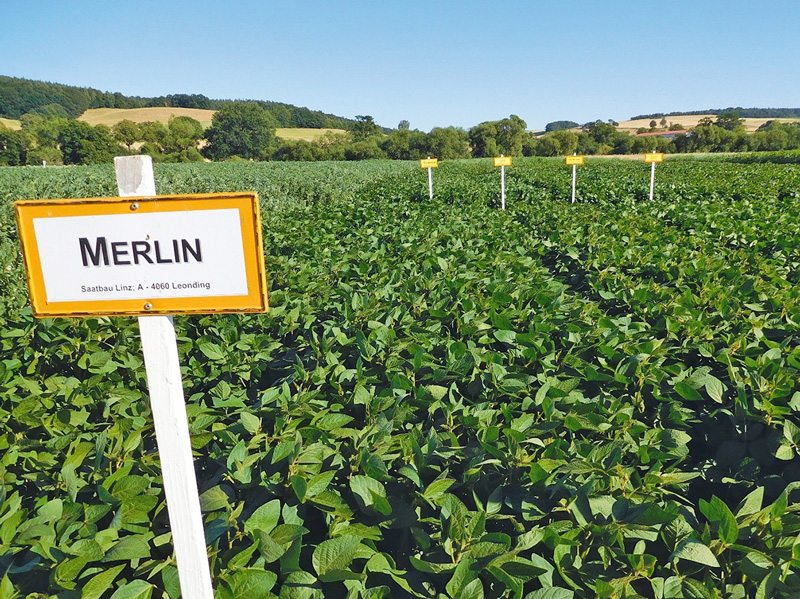 Ernte 2018 um einige Wochen früher als in Vorjahren