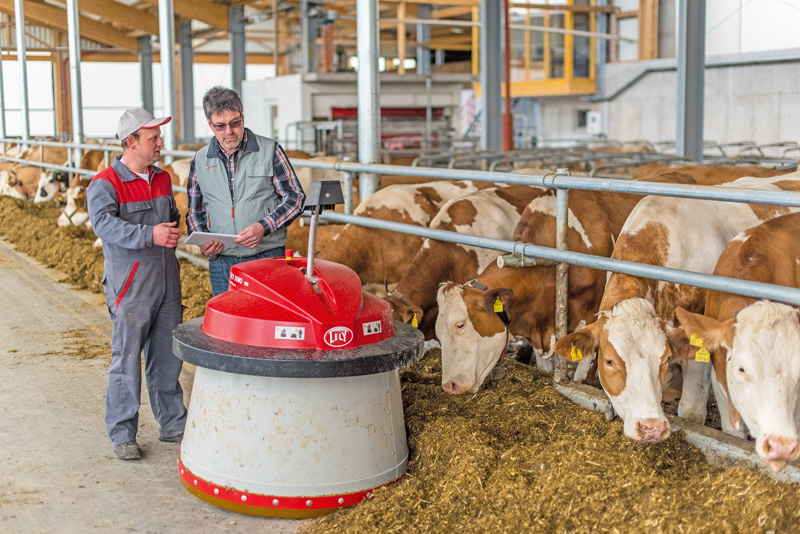Futter 
an die Kuh bringen